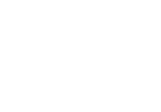 Bear Camp